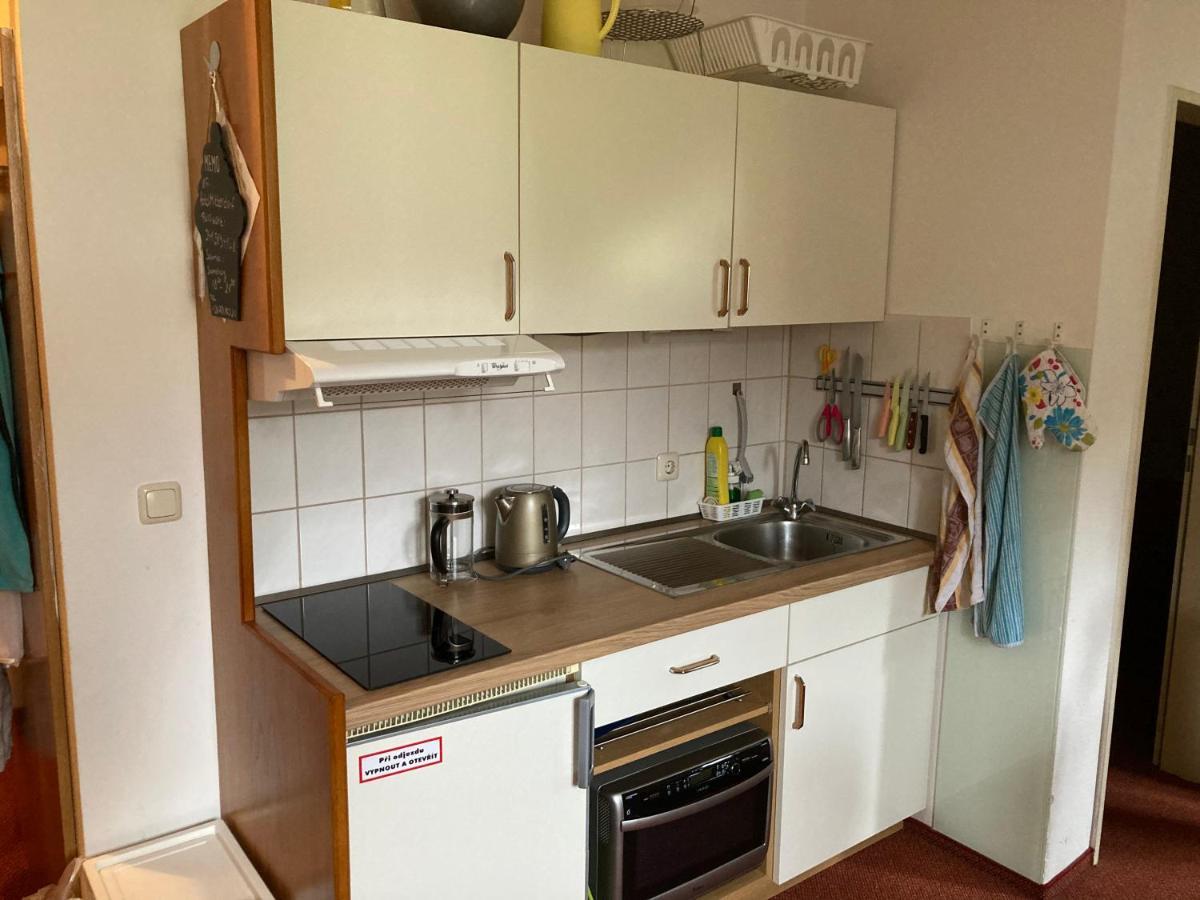 Appartement Apartman Viki à Philippsreut Extérieur photo