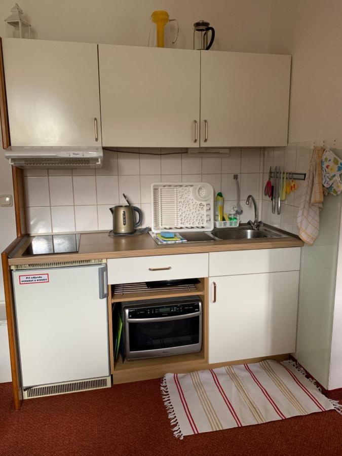 Appartement Apartman Viki à Philippsreut Extérieur photo