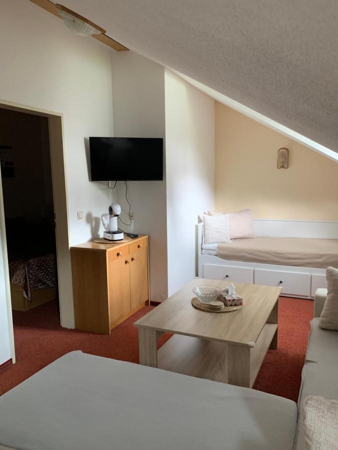 Appartement Apartman Viki à Philippsreut Extérieur photo
