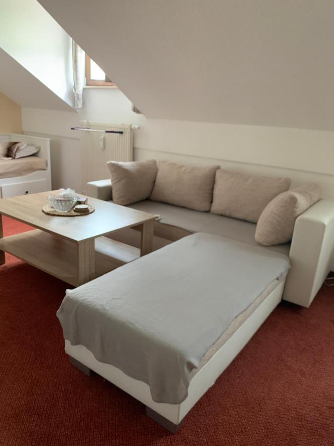 Appartement Apartman Viki à Philippsreut Extérieur photo